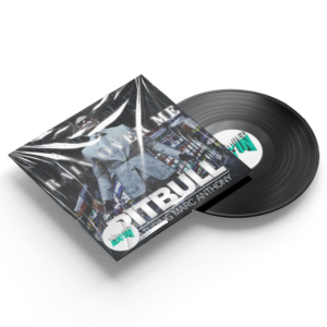 Rain Over Me x Moving On - Pitbull, Alex M (Nasty Mashup 142Bpm)