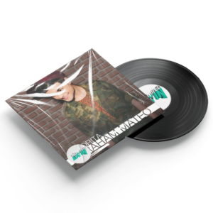 I Know You Want Me x Señorita - Pitbull Ft. Abraham Mateo (Alex Tolino Mashup 125Bpm)