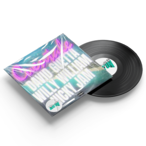 Cuentale - David Guetta, Willy William, Nicky Jam (Bayne Hype Intro 99Bpm)
