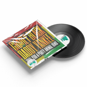 Gyal You A Party Animal - Charly Black (Bayne Hype Intro 101Bpm)